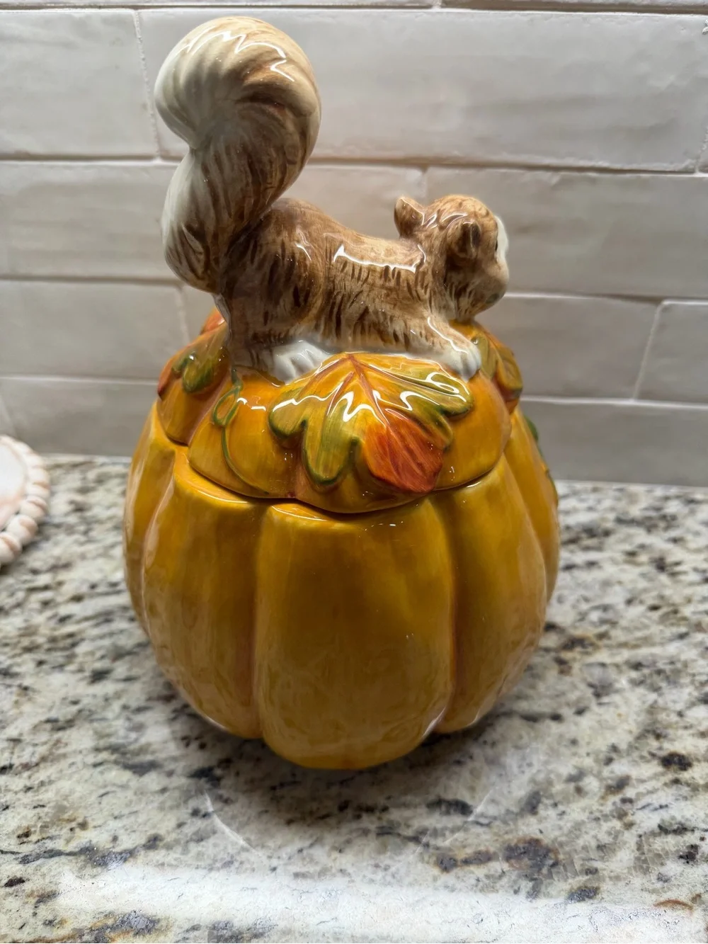 Pier 1 fall Squirrel Ceramic Decorative Jar